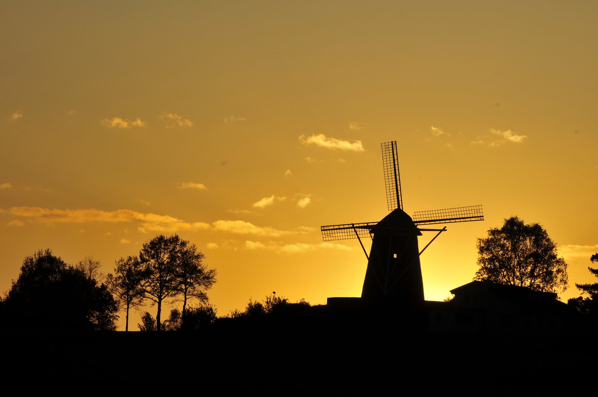 VDIG_Molen Trintelen