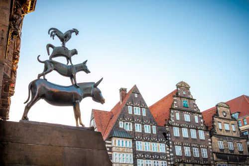 bremen-stadtmusikanten-wfb-carina-tank-5192_web